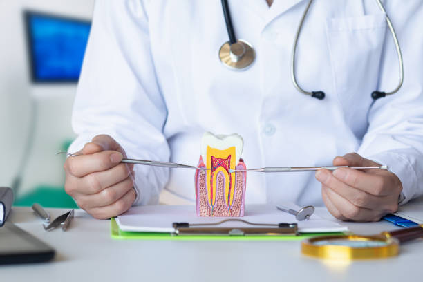 Best Emergency Dentist for Lost Fillings or Crowns in Paris, TN